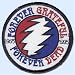 Grateful Dead Patch ~ New Style! ~ Forever Grateful Forever Dead ~ Grateful Dead Forever Lightning 30th year anniversary