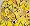Shagadelic Yellow