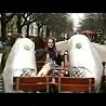 ball of joy