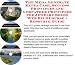 Search : The Guru's How To Earn Extra Money, Marketing and Success Principles for Jewelry Boxes Internet Businesses 3 CD Power Pack