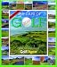 365 Days of Golf Calendar 2010
