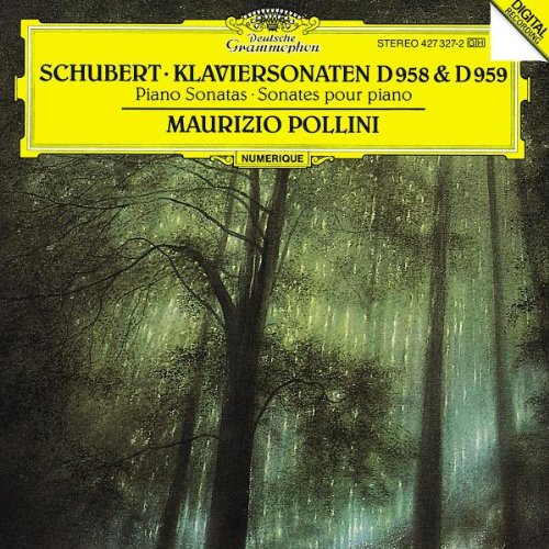 Produkt-Bild: Klaviersonaten D 958 und 959