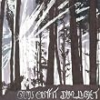 Gun Outfit - Live in Concert
