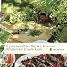 Sonnenstrahlen f�r den Gaumen: Mediterrane Kr�uterk�che