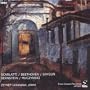 Zeynep Ucbasaran Plays Scarlatti, Beethoven, Saygun, Bernstein, Muczynsk