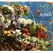 Selma- In Sehnsucht eingeh�llt