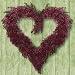 Ideal Home Range Country Love, Green Lunch Napkin,  20-Count Package (Pack of 6)
