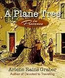A Plane Tree in Provence