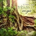 A New Age Tribute To Enya