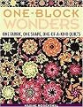 One-Block Wonders (One Fabric, One Shape, One-of-a-kind Quilts) (Paperback)