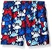 Mud Pie Toddler Boy Swim Trunks