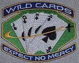 Space Above and Beyond TV Series Wild Cards PATCH