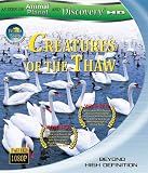 Creatures of the Thaw [Blu-ray]