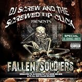 Fallen Soldiers