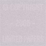 Passport Smooth Moonstone 24# #10 Envelope 500/pack
