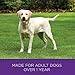 Wellness Complete Health Dry Dog Food, Wholesome Grains, Natural, Whitefish & Sweet Potato Recipe, (15-Pound Bag)