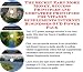 Book The Special How To Earn Extra Money, Marketing and Inner Game for Vitamin Supplements Web Biz 3 CD Course