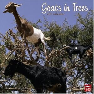 Goats in Trees 2011 Goats in Trees 2011