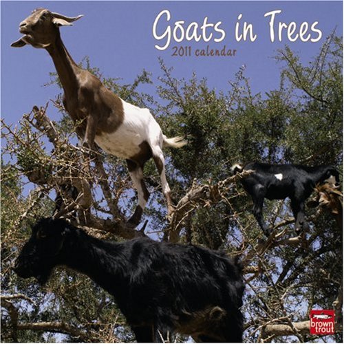 Goats in Trees 2011 Wall Calendar