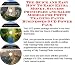 Check out The Quick and Easy How To Earn Extra Money, Success Principles and Sales Models for Potty Training Pants Businesses 3 CD Power Pack