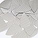 Sequin Fishscale 1.5