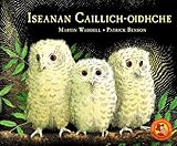 Iseanan caillich-oidhche