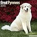 Great Pyrenees Calendar - Breed Specific Great Pyrenees Calendar - 2015 Wall calendars - Dog Calendars - Monthly Wall Calendar by Avonside