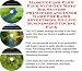 Massive Cash Flow Pack with Get More Biz, Success Principles and Inner Game for Radio Advertising On-line Businesses 3 Course Pack