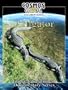 Cosmos Global Documentaries ALLIGATOR