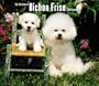 Bichon Frise, For the Love of 2010 Deluxe Wall (Multilingual Edition)