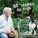 Old Dogs