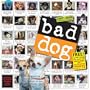 Bad Dog Wall Calendar 2008