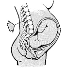Obstetrician Training Guide Volume I and II: Obstetrics, Pregnancy, Childbirth, Newborn... by U.S. Army Medical Department