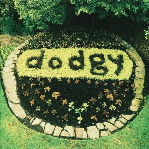 Dodgy - Good Enough Lyrics - Zortam Music
