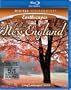 Living Landscapes: Earthscapes - Fall in New England [Blu-ray]