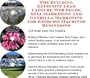 The Guerilla Marketing, Building Effective Lead Capture Web Pages, SIVA Marketing for Exercise Bikes Businesses