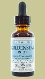 Echinacea Root Extract No Alcohol - 2 oz. - Liquid