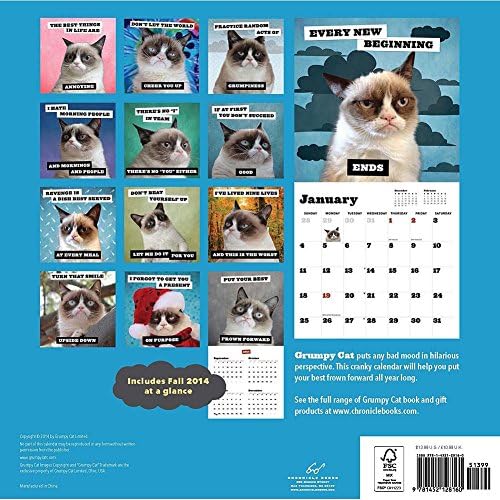 2015 GRUMPY CAT Wall Calendar