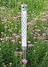  : P3 International P7680 Jumbo Garden Thermometer