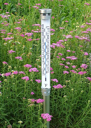 Childrens Toyshop  Electronics : P3 International P7680 Jumbo Garden Thermometer