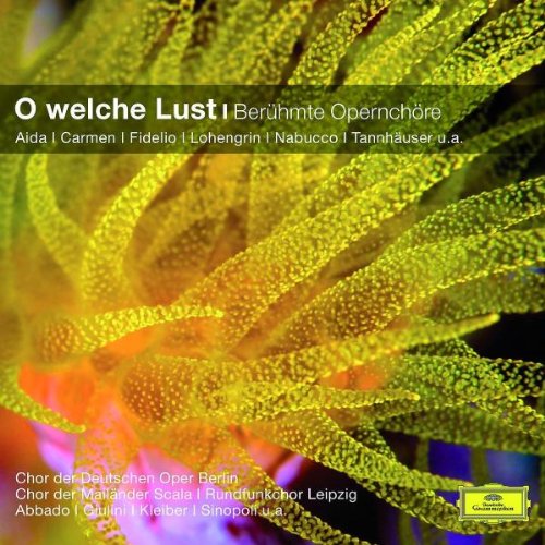 VARIOUS O welche Lust - Ber&uuml;hmte Opernch&ouml;re (Classical Choice)