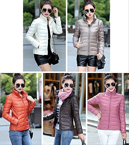 【PALERO・パレロ】 選べる５色 レディース お洒落な 冬 防寒 あったか 薄軽コンパクト ダウンジャケット ３サイズ