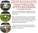Search : The Secret Earn More Money, Inner Game and Sales Models for Martial Arts Books On-line Businesses 3 Course Pack