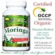 Moringa 120 Capsules Per Bottle, 425mg Each. Perfectly Natural Herbs Cares About You And Your Health. Our Capsules Are Chemical Free And We Are "Certified Organic" by the "Organic Certification Center Philippines" (OCCP). We Use A Patented 7 Step Drying Process To Minimize Nutritional Loss. All Moringa Oleifera Leaves Are Green Prior To Drying. Do The Capsule Comparison. If Your Moringa Is Not Green, It Has Been Bleached, Or Dried In The Sun. See Our Pictures. (Some Farms use bleaching agents as an inexpensive way to combat problems with bacterial, insect and/or rodent infestations. Bleaching and Sun Drying destroy the nutrients.) "Thank You For Making Perfectly Natural Herbs The #1 Seller Of Moringa Capsules On Amazon.com."