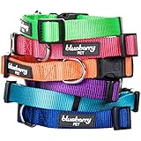 Blueberry Pet 5/8-Inch Classic Solid Basic Polyester Nylon Collar Lead Harness for Dog, Small, Royal Blue
