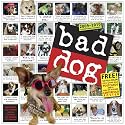 Bad Dog Wall Calendar 2010