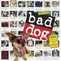 Bad Dog