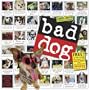 Bad Dog Wall Calendar 2010