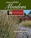 Urban and Suburban Meadows: Bringing Meadowscaping to Big and Small Spaces