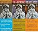 Search : 3 New DVDs - 9 Episodes of The Lucy Show